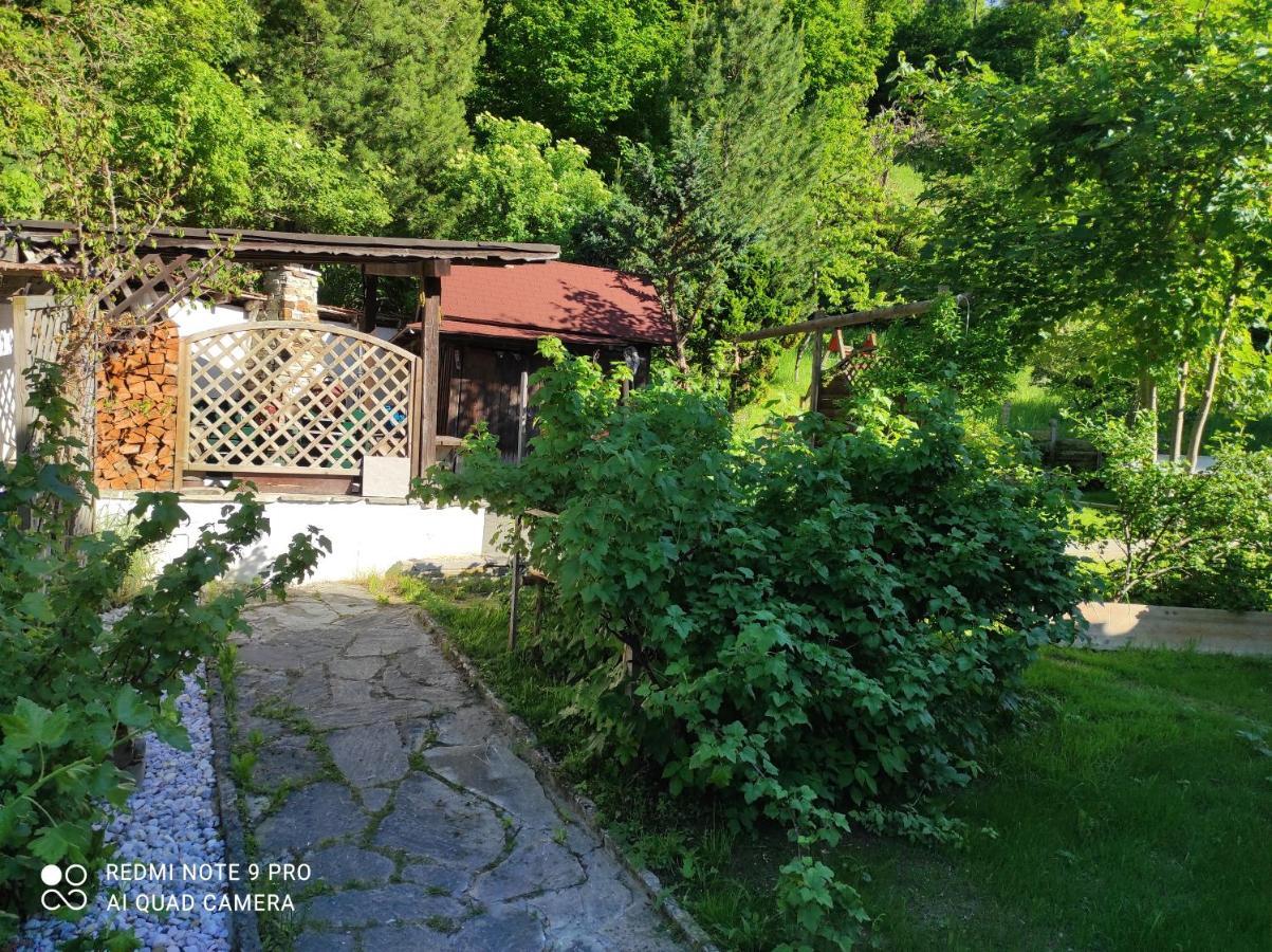 Ferienhaus Kraiter Apartamento Schladming Exterior foto